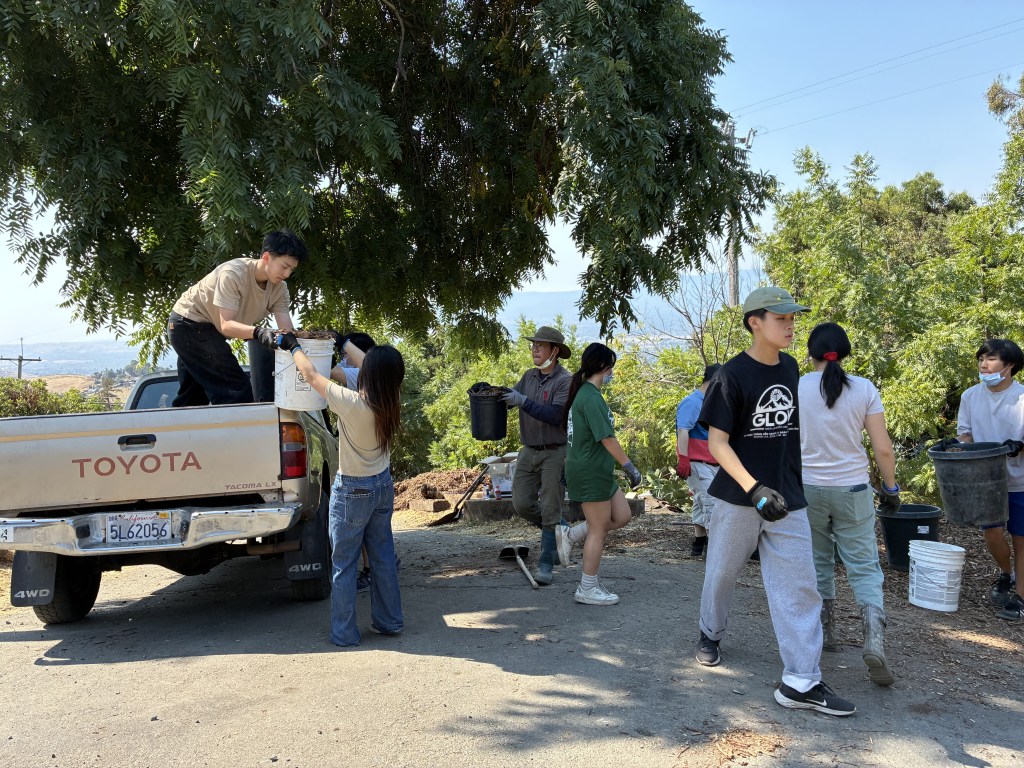 Buổi Tình Nguyện Trồng Cây 10/8/2025