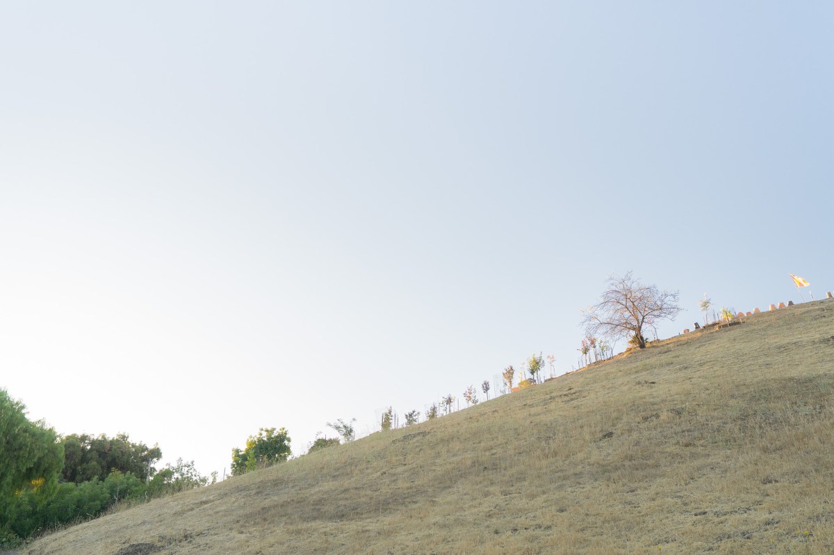 Thiền – Đối Mặt Với Thực&nbsp;Tại