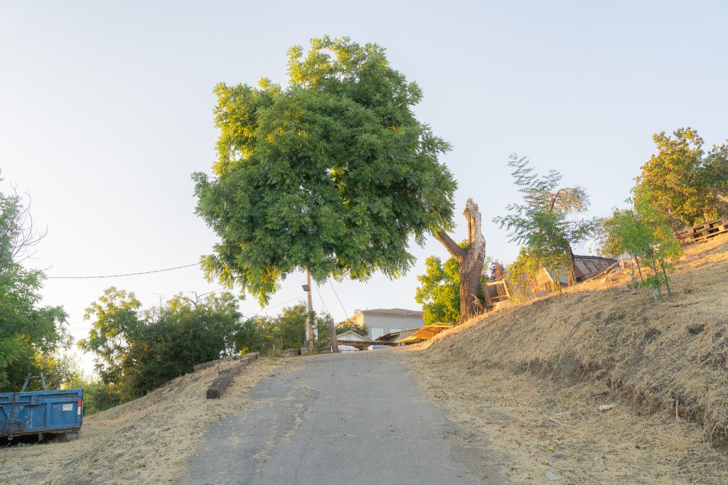 Phóng sự trồng cây Tuần 34