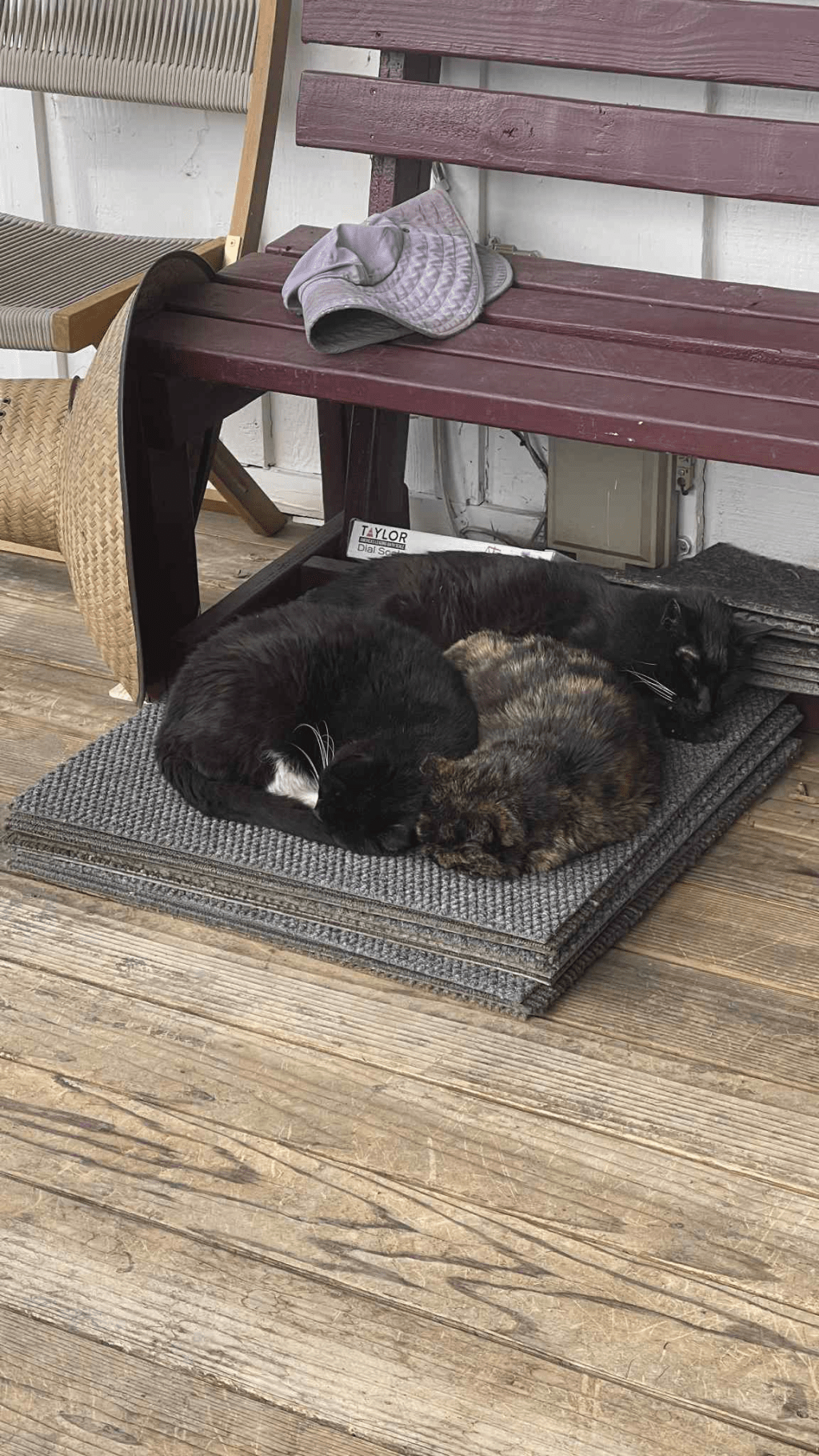 Nhật ký tháng 02, 2026