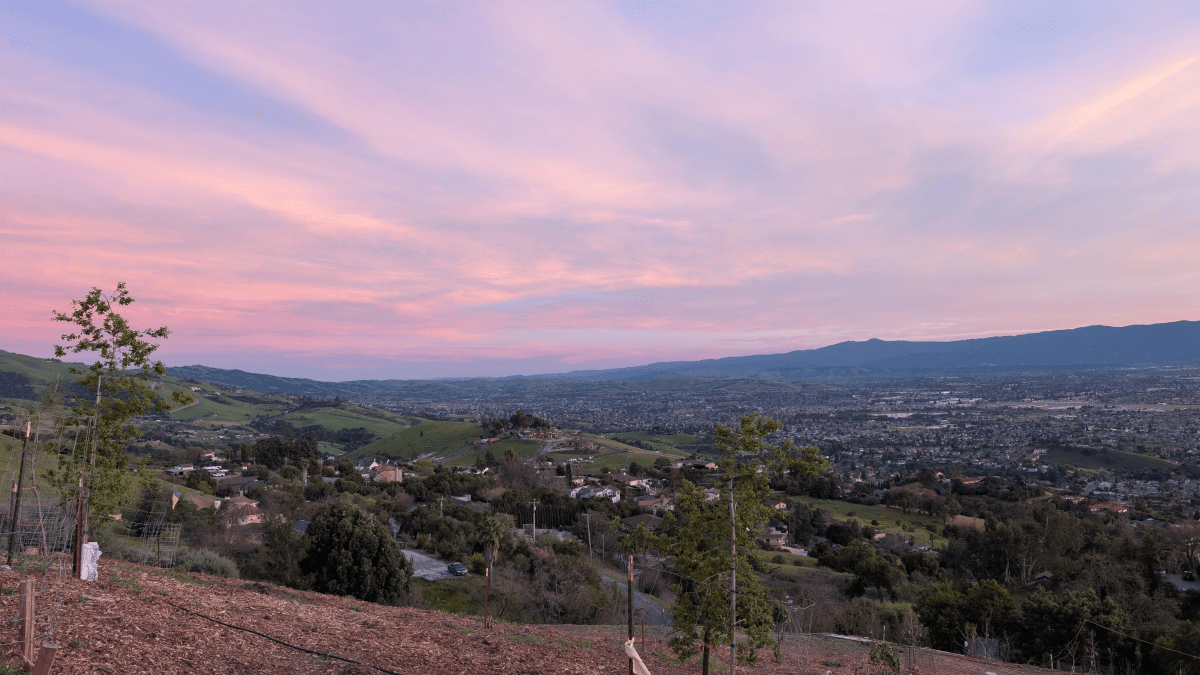 Help Grow Our Meditation&nbsp;Garden