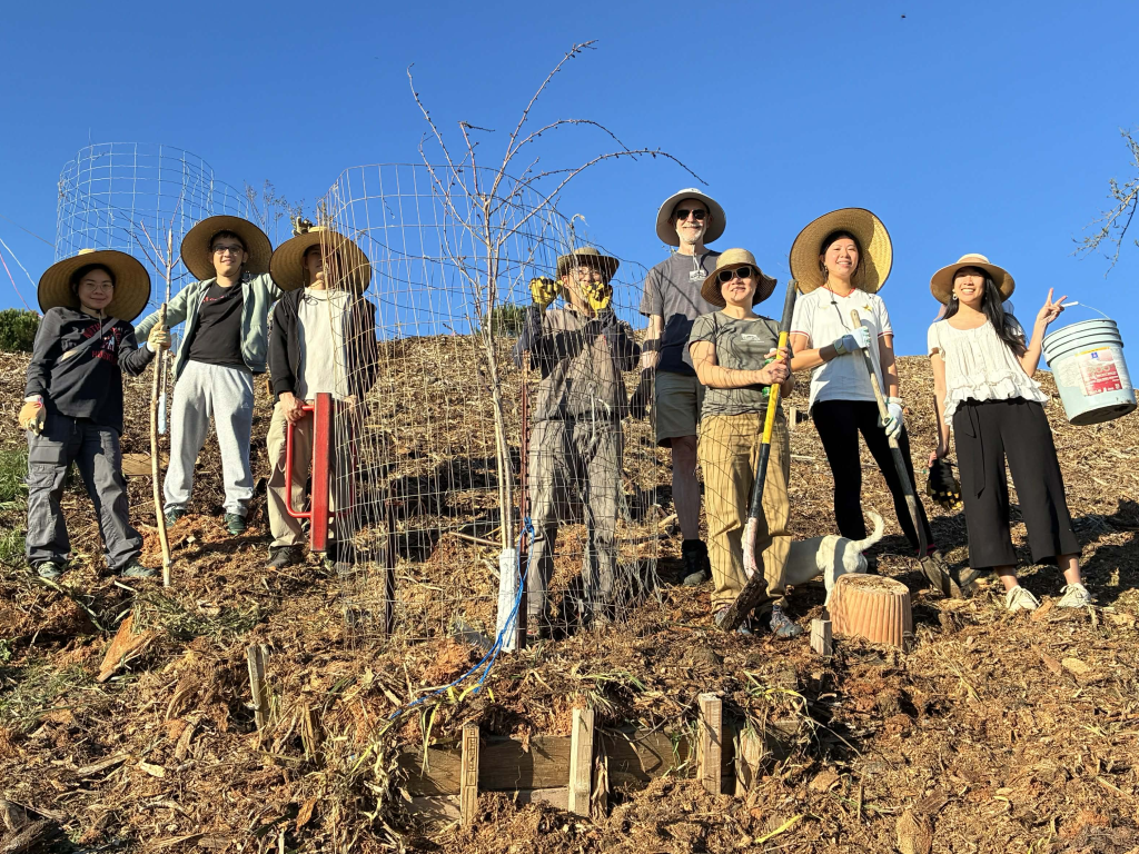 Nhật ký tháng 03, 2026